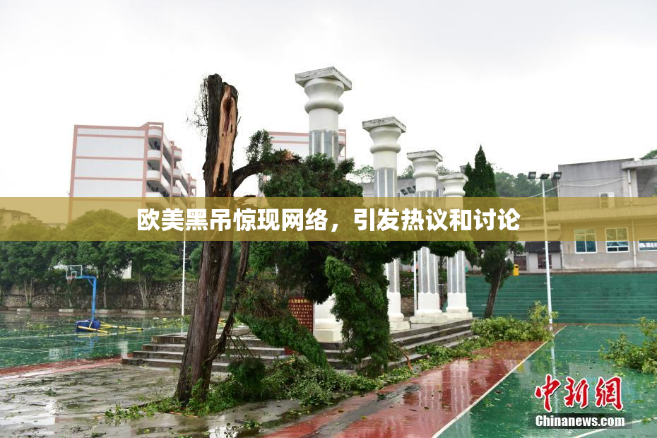 欧美黑吊惊现网络，引发热议和讨论