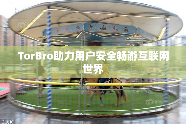 TorBro助力用户安全畅游互联网世界