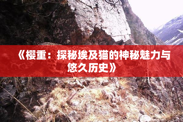 《樱重：探秘埃及猫的神秘魅力与悠久历史》