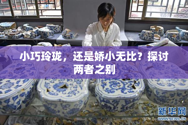 小巧玲珑，还是娇小无比？探讨两者之别