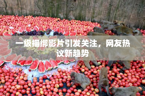 一级捆绑影片引发关注，网友热议新趋势