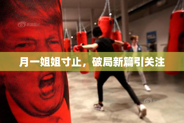 月一姐姐寸止，破局新篇引关注
