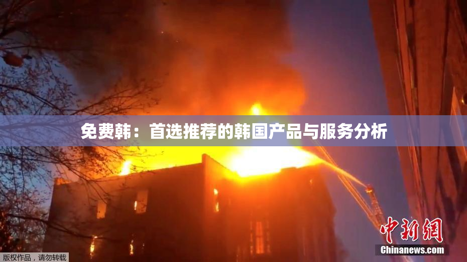 免费韩：首选推荐的韩国产品与服务分析