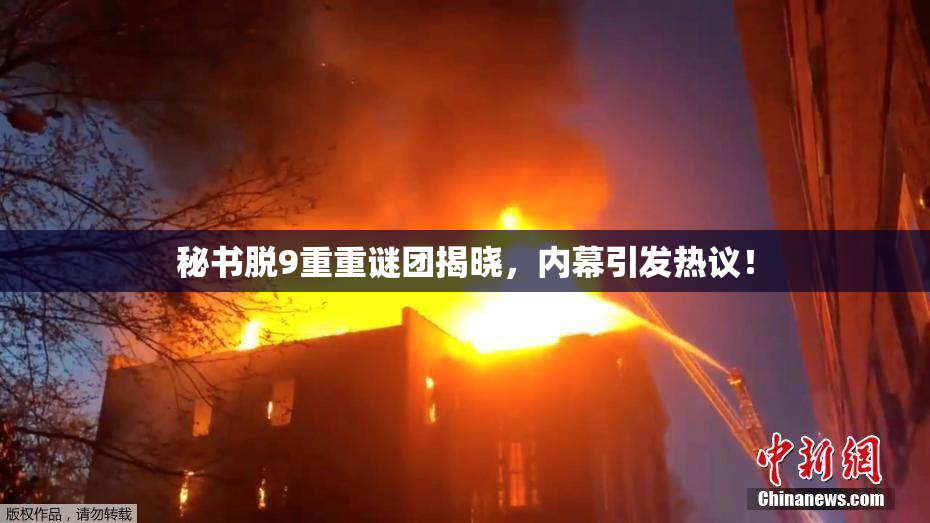 秘书脱9重重谜团揭晓，内幕引发热议！