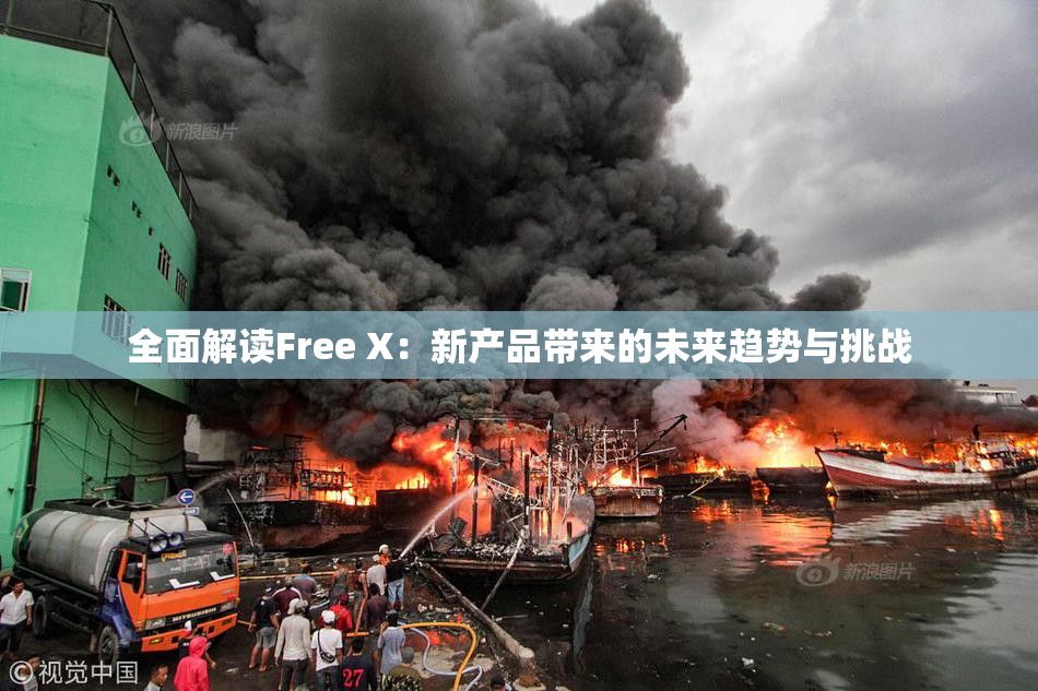 全面解读Free X：新产品带来的未来趋势与挑战