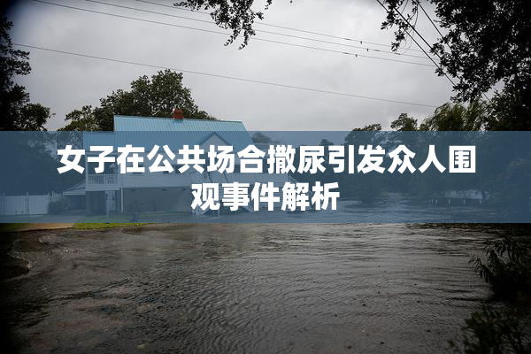女子在公共场合撒尿引发众人围观事件解析