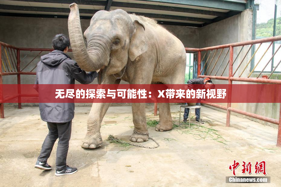 无尽的探索与可能性：X带来的新视野