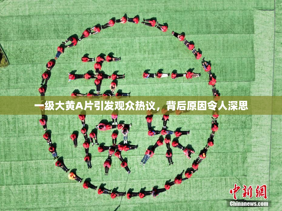 一级大黄A片引发观众热议，背后原因令人深思