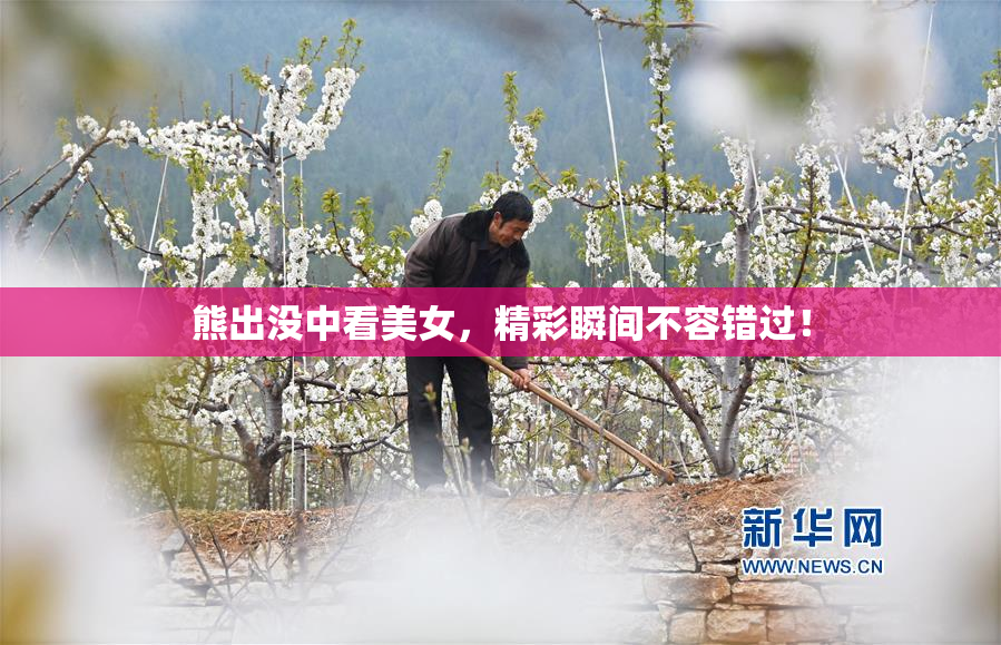 熊出没中看美女，精彩瞬间不容错过！