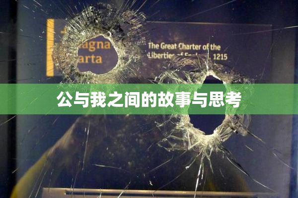 公与我之间的故事与思考