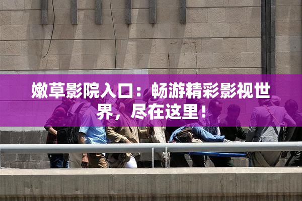 嫩草影院入口：畅游精彩影视世界，尽在这里！