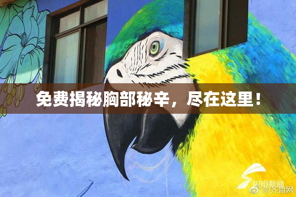 免费揭秘胸部秘辛，尽在这里！