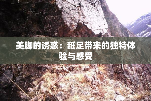 美脚的诱惑：舐足带来的独特体验与感受