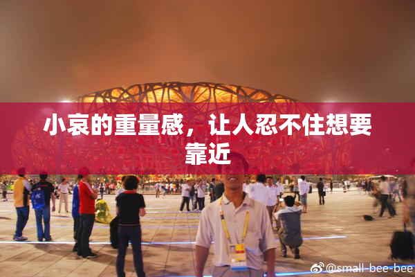小哀的重量感，让人忍不住想要靠近