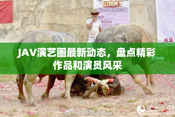 JAV演艺圈最新动态，盘点精彩作品和演员风采