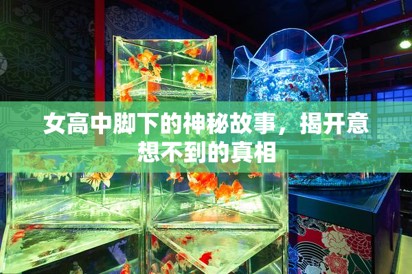 女高中脚下的神秘故事，揭开意想不到的真相