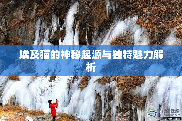 埃及猫的神秘起源与独特魅力解析