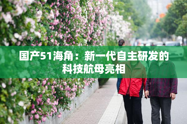 国产51海角：新一代自主研发的科技航母亮相