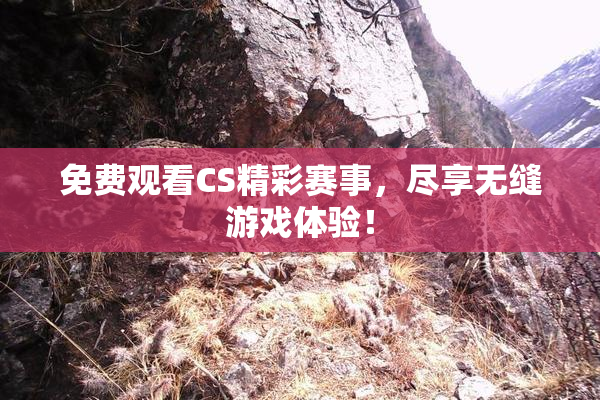 免费观看CS精彩赛事，尽享无缝游戏体验！