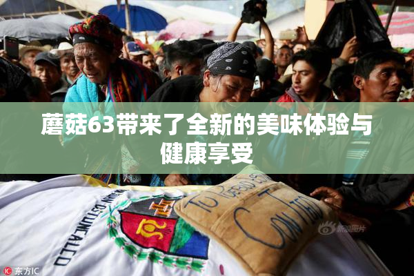 蘑菇63带来了全新的美味体验与健康享受