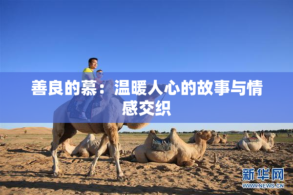 善良的慕：温暖人心的故事与情感交织