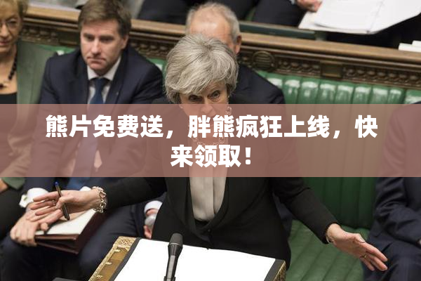熊片免费送，胖熊疯狂上线，快来领取！
