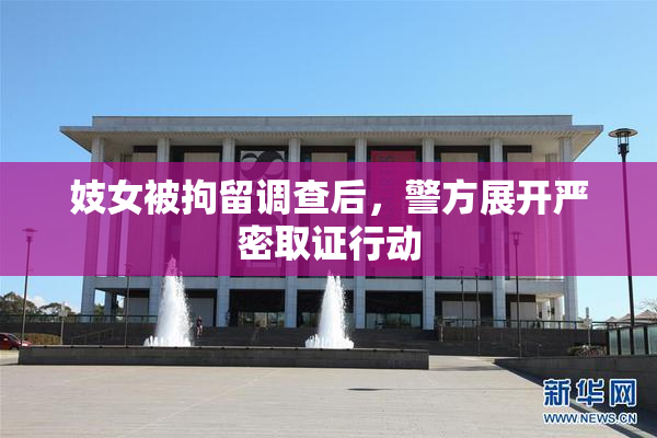 妓女被拘留调查后，警方展开严密取证行动