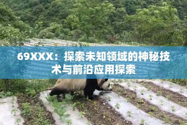 69XXX：探索未知领域的神秘技术与前沿应用探索