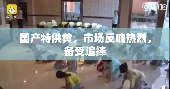 国产特供黄，市场反响热烈，备受追捧