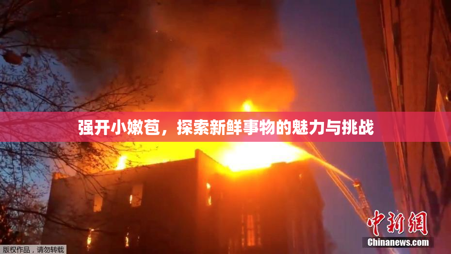 强开小嫩苞，探索新鲜事物的魅力与挑战