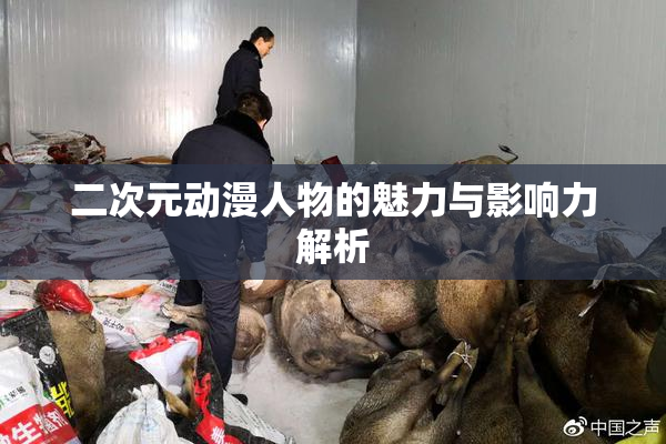 二次元动漫人物的魅力与影响力解析