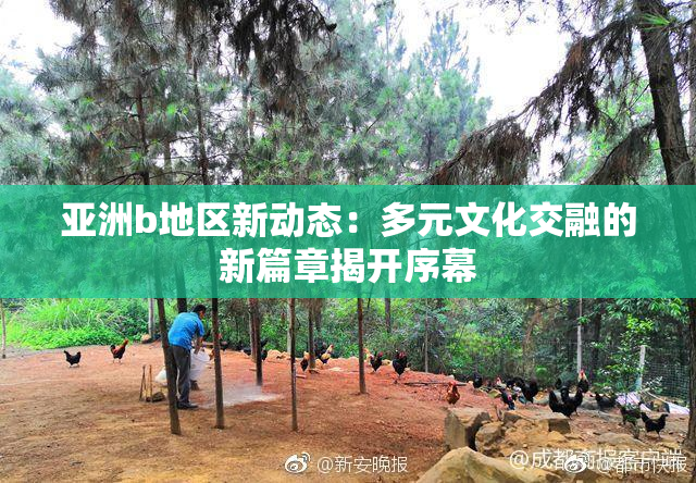亚洲b地区新动态：多元文化交融的新篇章揭开序幕