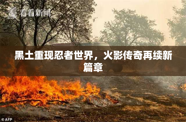 黑土重现忍者世界，火影传奇再续新篇章