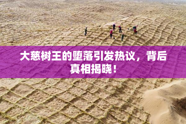 大慈树王的堕落引发热议，背后真相揭晓！