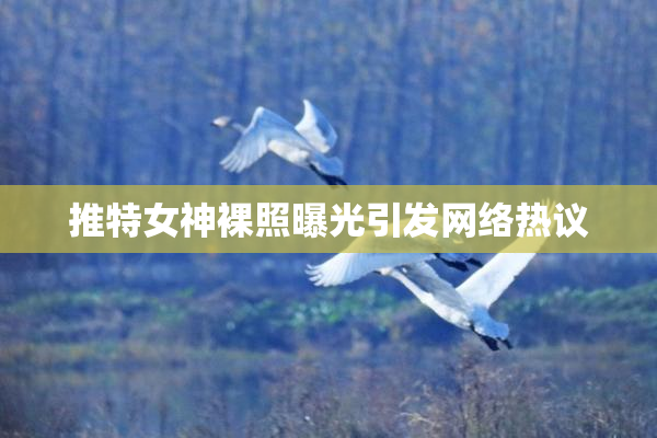推特女神裸照曝光引发网络热议