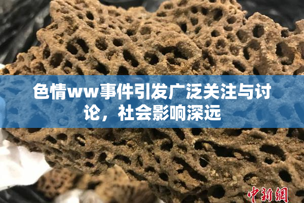 色情ww事件引发广泛关注与讨论，社会影响深远
