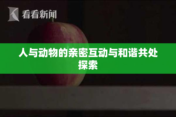 人与动物的亲密互动与和谐共处探索