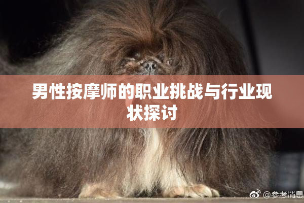 男性按摩师的职业挑战与行业现状探讨