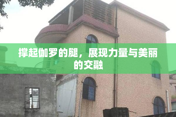 撑起伽罗的腿，展现力量与美丽的交融
