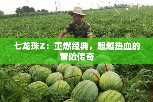 七龙珠Z：重燃经典，超越热血的冒险传奇