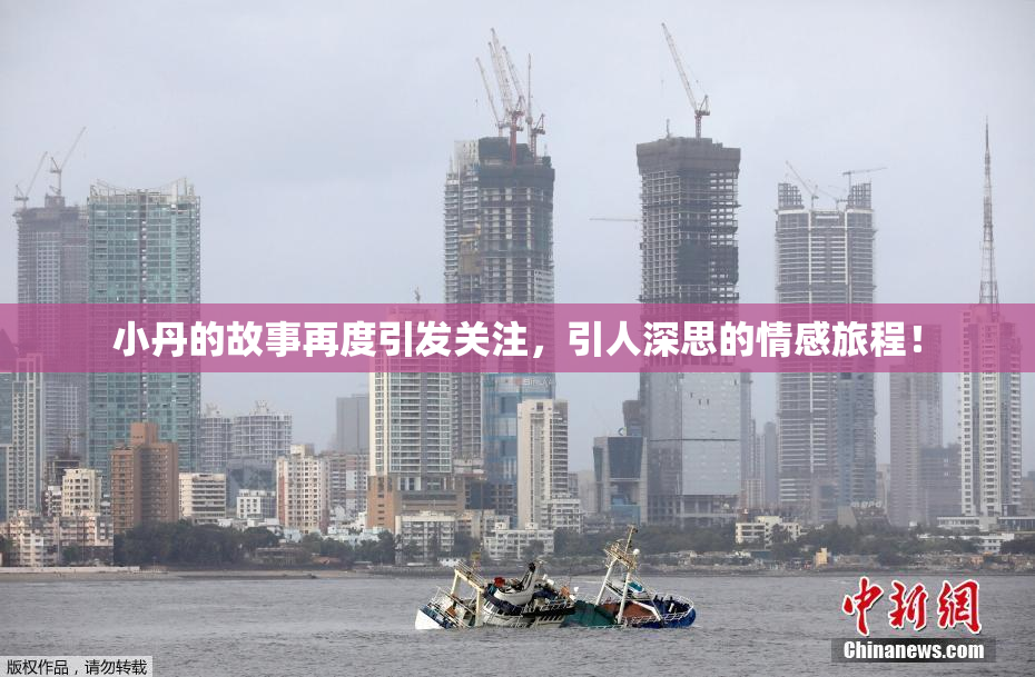 小丹的故事再度引发关注，引人深思的情感旅程！