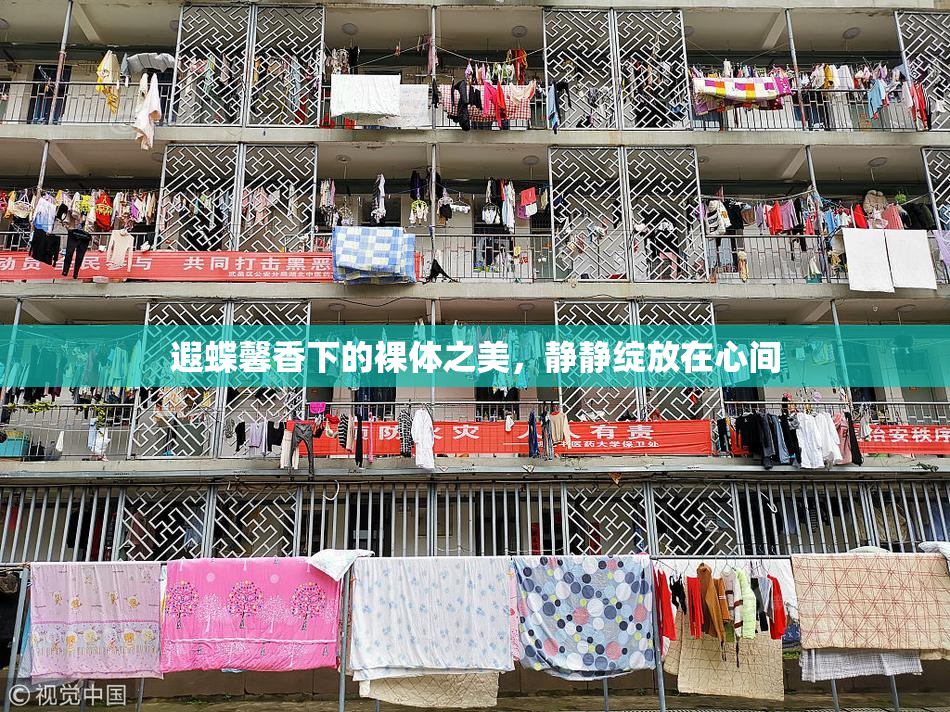 遐蝶馨香下的裸体之美，静静绽放在心间