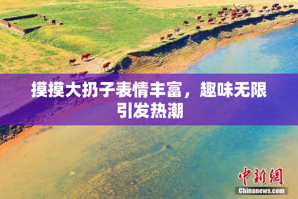 摸摸大扔子表情丰富，趣味无限引发热潮