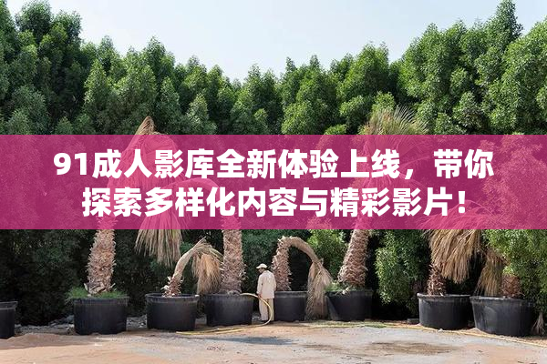 91成人影库全新体验上线，带你探索多样化内容与精彩影片！