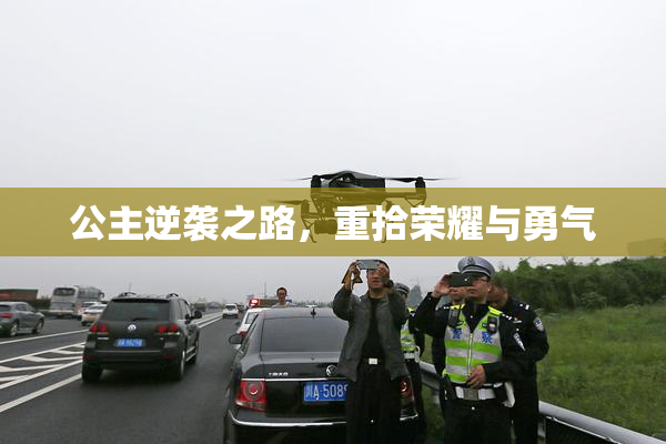 公主逆袭之路，重拾荣耀与勇气