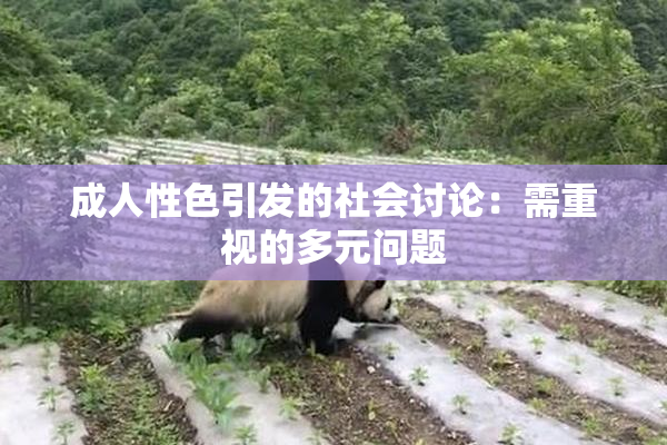 成人性色引发的社会讨论：需重视的多元问题