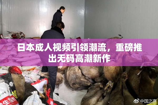 日本成人视频引领潮流，重磅推出无码高潮新作