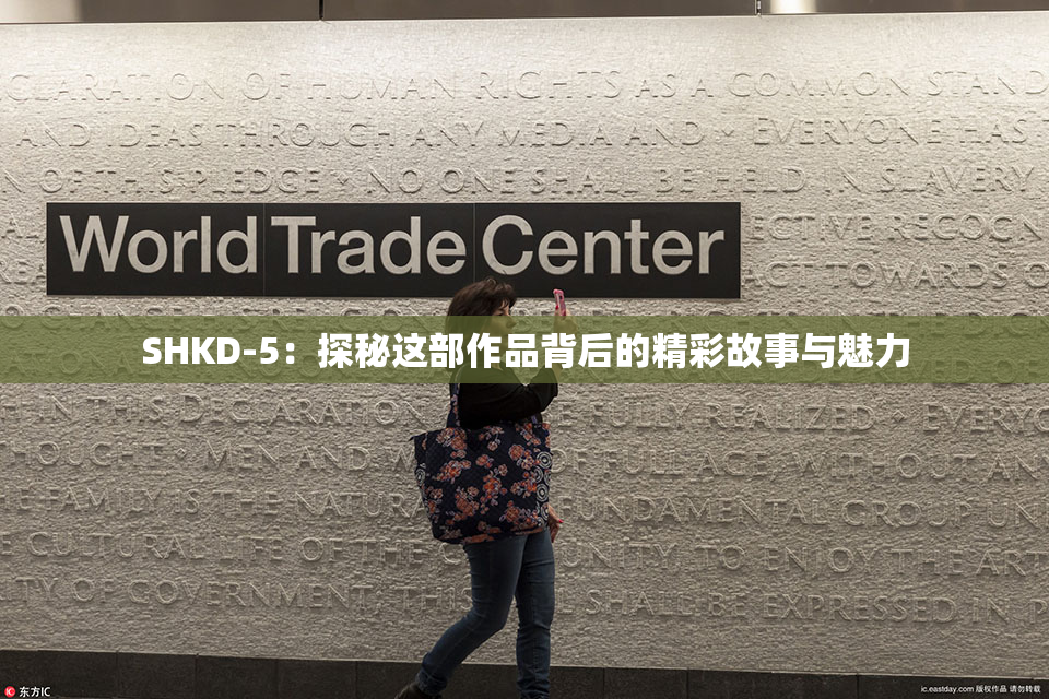 SHKD-5：探秘这部作品背后的精彩故事与魅力