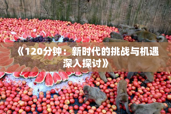 《120分钟：新时代的挑战与机遇深入探讨》