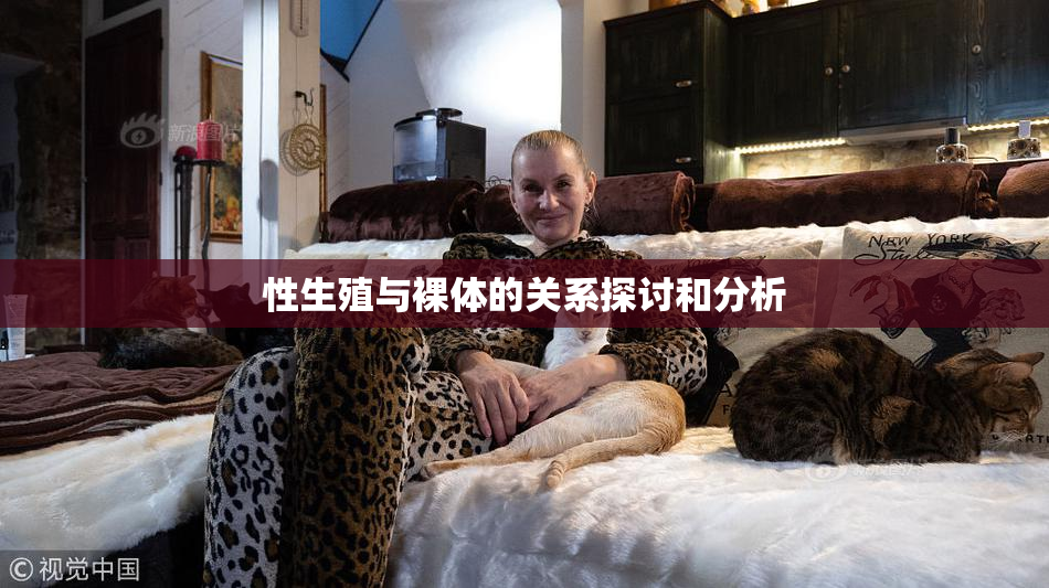 性生殖与裸体的关系探讨和分析
